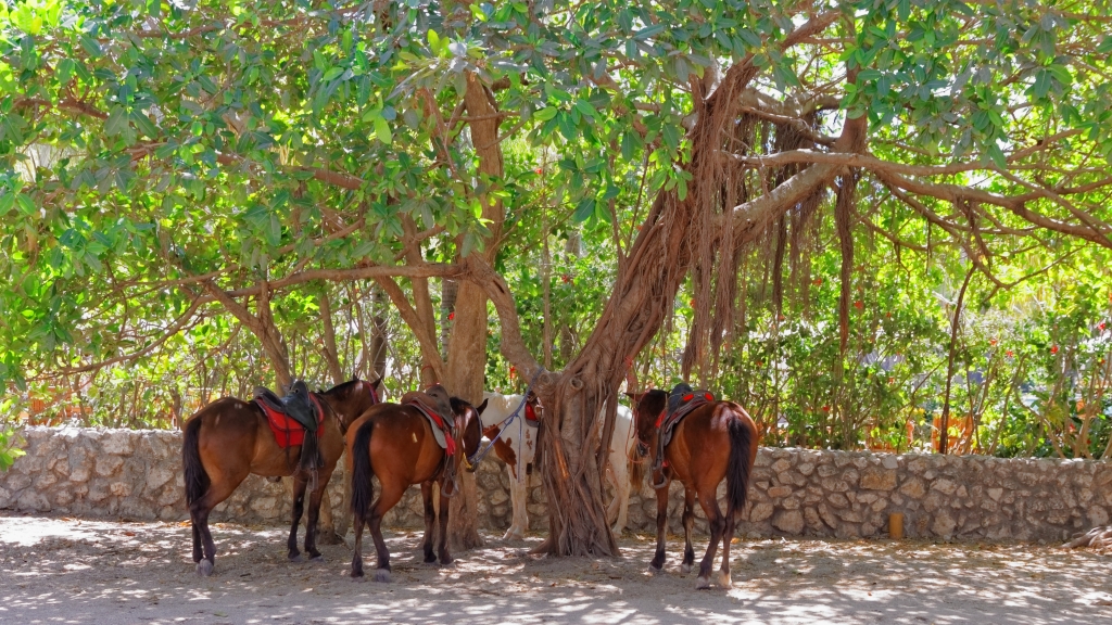 06 - Playa Concha (08).jpg